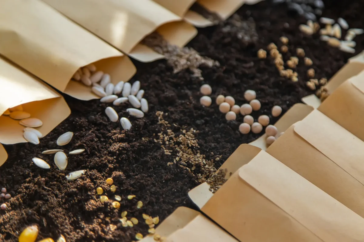 Experiment met betrekking tot de houdbaarheid van zaden.